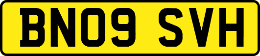 BN09SVH
