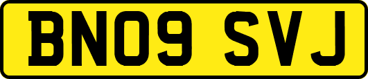 BN09SVJ