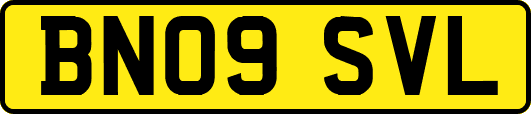 BN09SVL