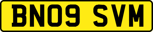 BN09SVM