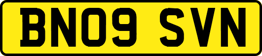 BN09SVN