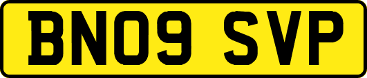 BN09SVP