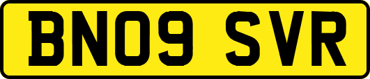 BN09SVR