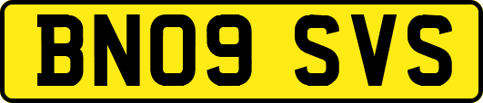 BN09SVS