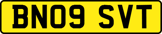 BN09SVT