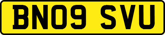 BN09SVU