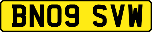 BN09SVW