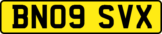 BN09SVX