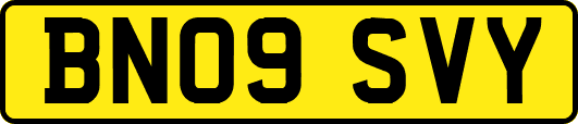 BN09SVY