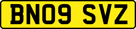 BN09SVZ