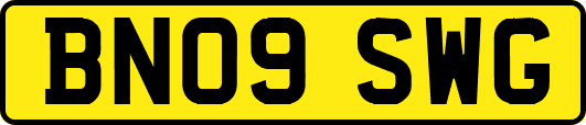 BN09SWG
