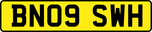 BN09SWH