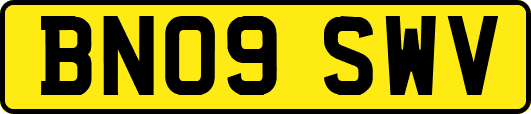 BN09SWV