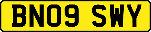 BN09SWY