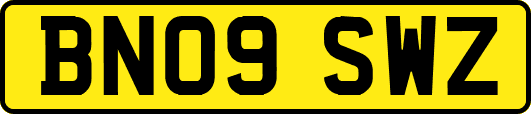 BN09SWZ