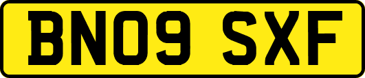 BN09SXF