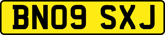 BN09SXJ