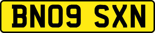 BN09SXN