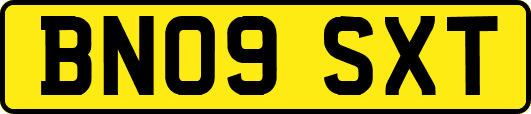 BN09SXT