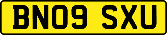 BN09SXU