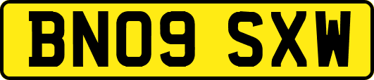 BN09SXW