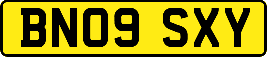 BN09SXY