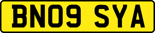BN09SYA