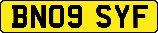 BN09SYF