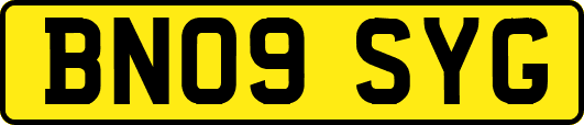 BN09SYG