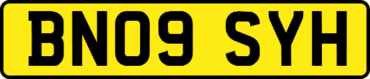 BN09SYH