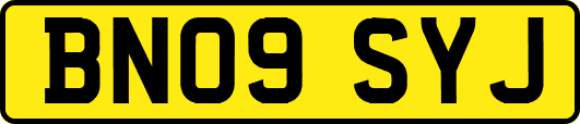 BN09SYJ