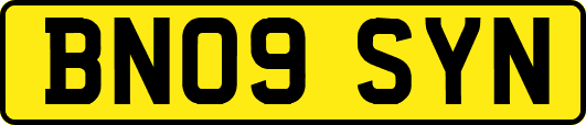 BN09SYN