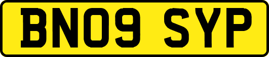 BN09SYP
