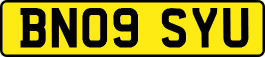 BN09SYU