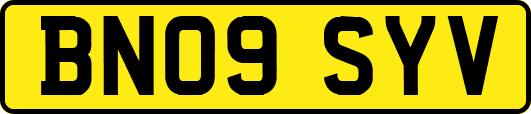 BN09SYV