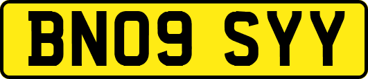 BN09SYY