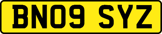 BN09SYZ