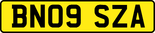 BN09SZA