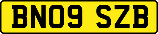BN09SZB