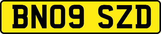 BN09SZD