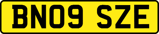 BN09SZE