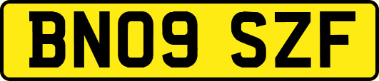BN09SZF