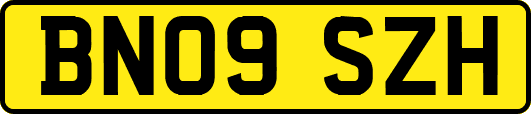 BN09SZH