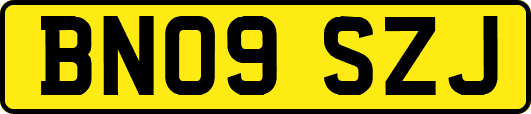BN09SZJ