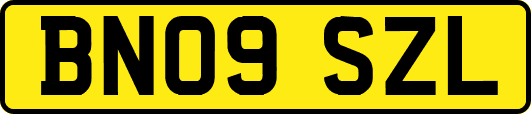 BN09SZL