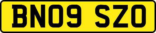 BN09SZO