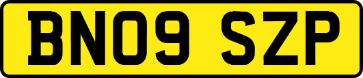 BN09SZP