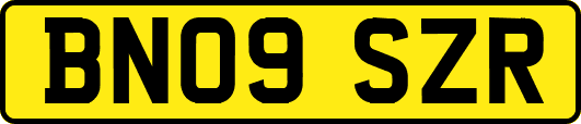 BN09SZR