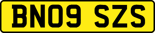 BN09SZS