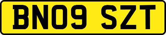 BN09SZT